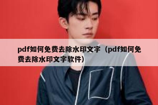 pdf如何免费去除水印文字（pdf如何免费去除水印文字软件）