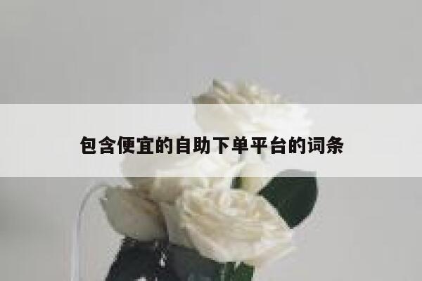 包含便宜的自助下单平台的词条