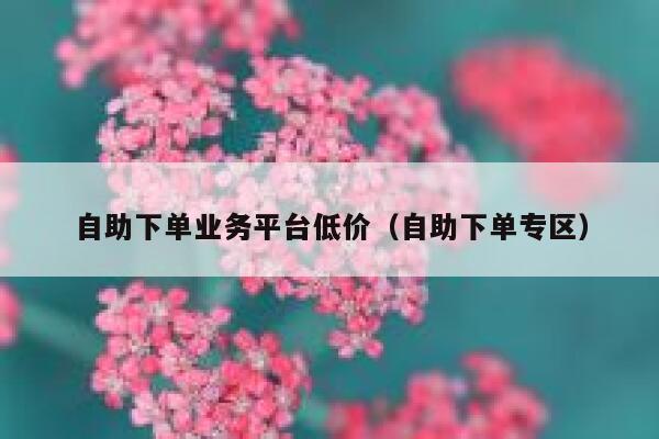 自助下单业务平台低价（自助下单专区）