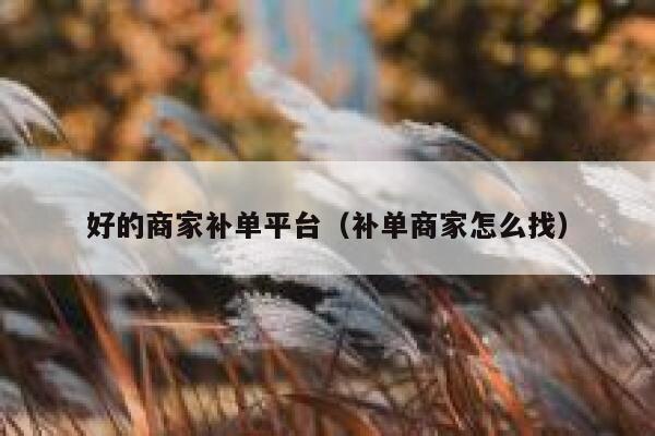 好的商家补单平台（补单商家怎么找）