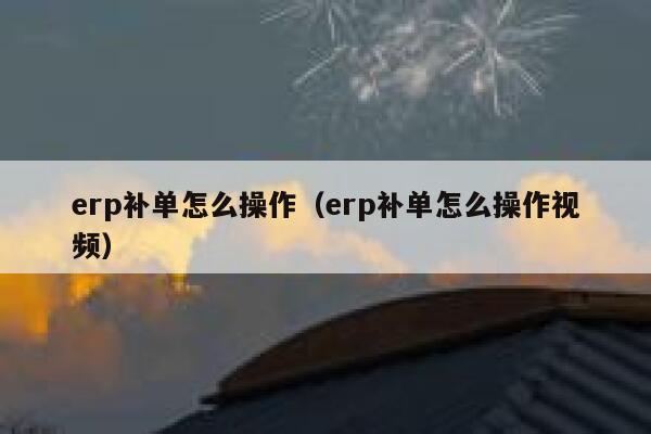 erp补单怎么操作（erp补单怎么操作视频）