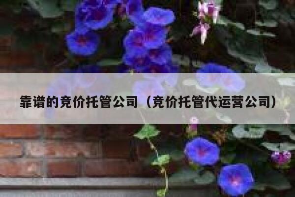 靠谱的竞价托管公司（竞价托管代运营公司）