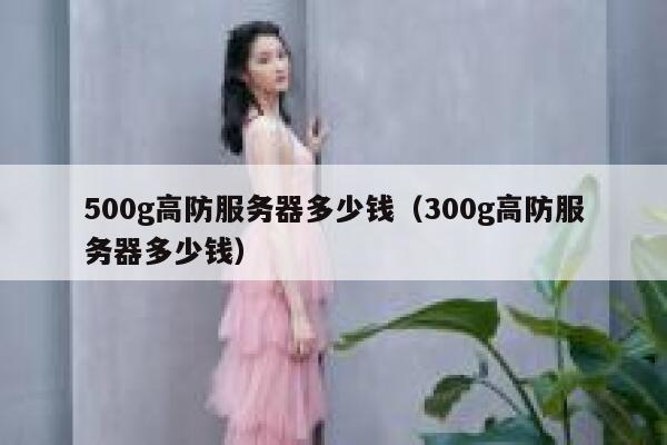 500g高防服务器多少钱（300g高防服务器多少钱）