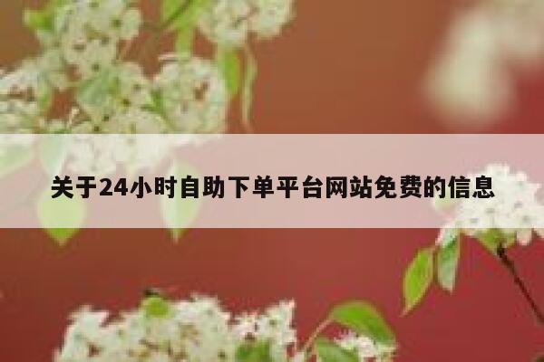 关于24小时自助下单平台网站免费的信息