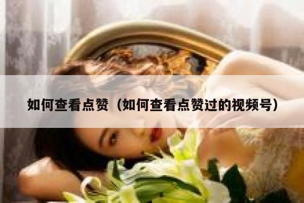 如何查看点赞（如何查看点赞过的视频号）