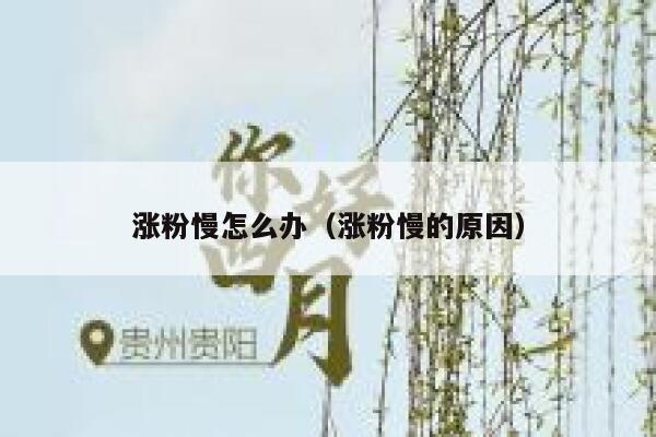 涨粉慢怎么办（涨粉慢的原因）