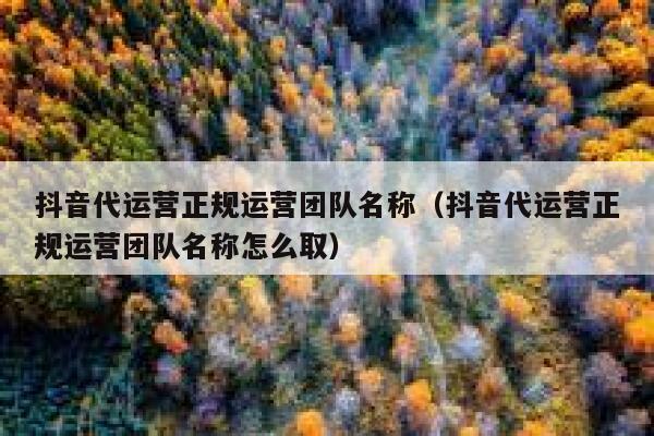 抖音代运营正规运营团队名称（抖音代运营正规运营团队名称怎么取）