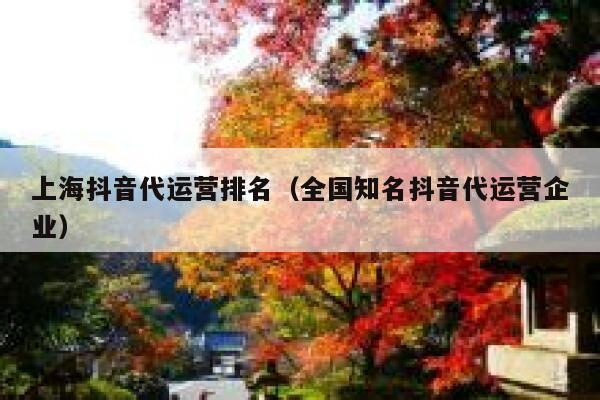 上海抖音代运营排名（全国知名抖音代运营企业）