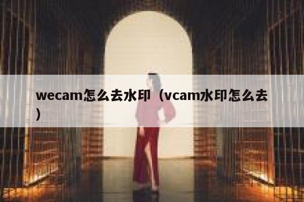 wecam怎么去水印（vcam水印怎么去）