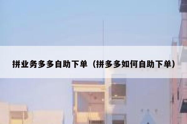 拼业务多多自助下单（拼多多如何自助下单）