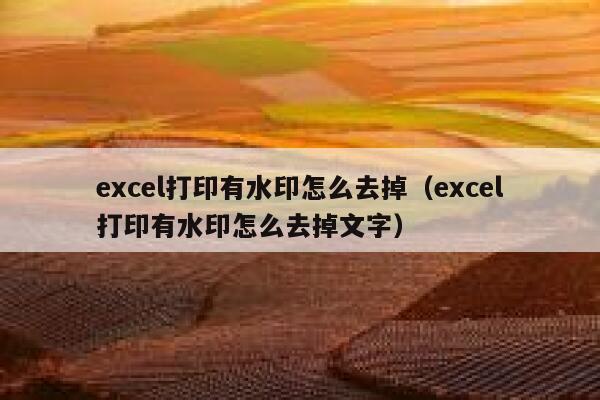 excel打印有水印怎么去掉（excel打印有水印怎么去掉文字）