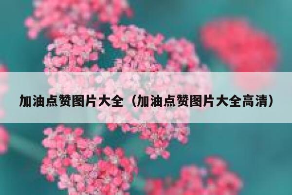 加油点赞图片大全（加油点赞图片大全高清）