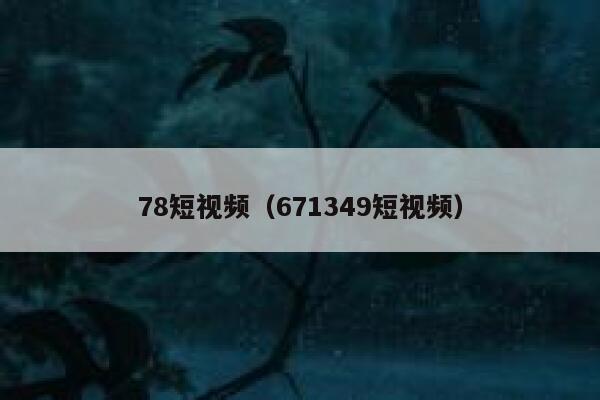 78短视频（671349短视频）