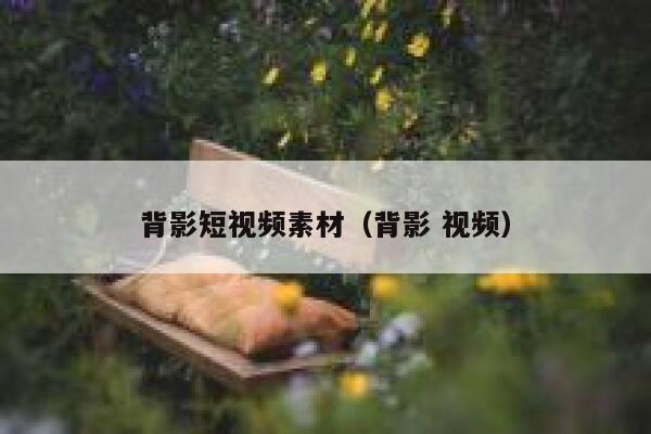 背影短视频素材（背影 视频）