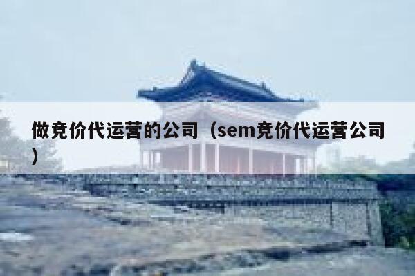 做竞价代运营的公司（sem竞价代运营公司）