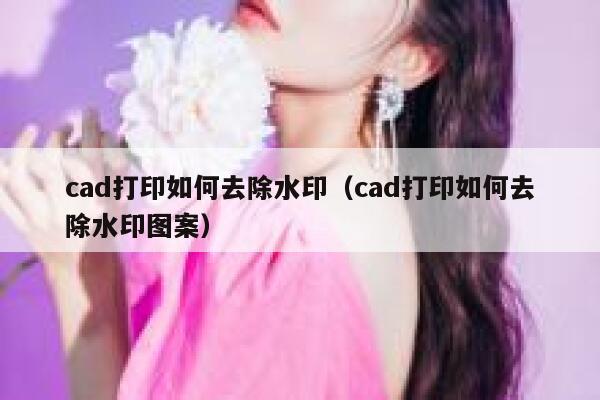 cad打印如何去除水印（cad打印如何去除水印图案）