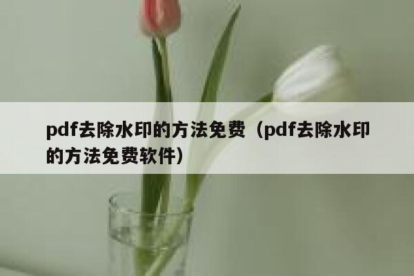 pdf去除水印的方法免费（pdf去除水印的方法免费软件）