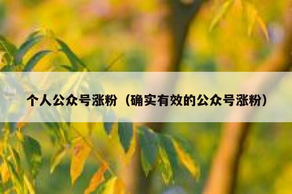 个人公众号涨粉（确实有效的公众号涨粉）