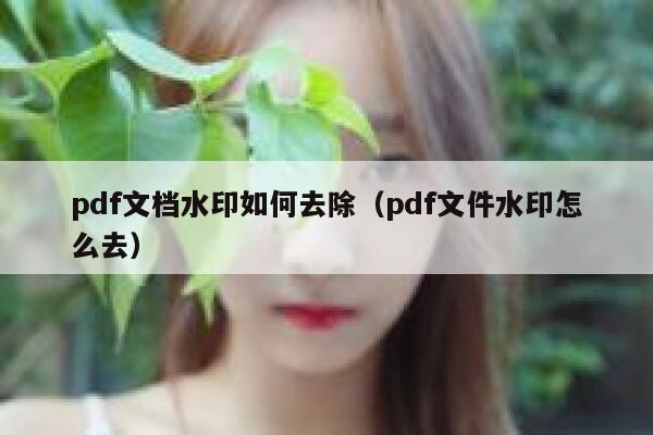 pdf文档水印如何去除（pdf文件水印怎么去）