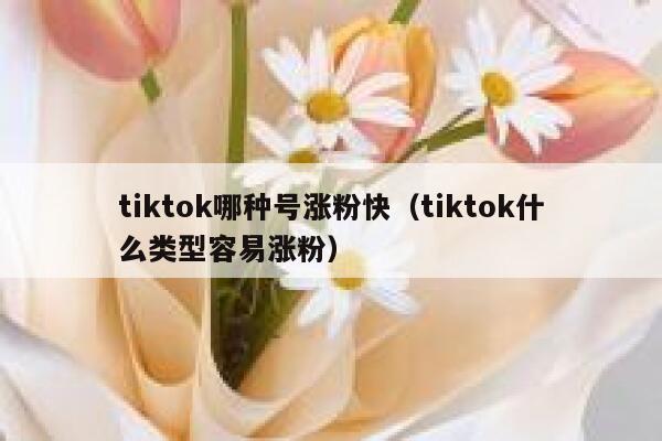 tiktok哪种号涨粉快（tiktok什么类型容易涨粉）