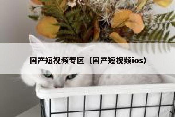 国产短视频专区（国产短视频ios）