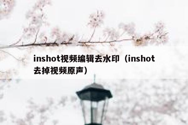 inshot视频编辑去水印（inshot去掉视频原声）