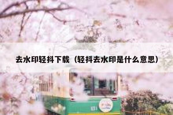 去水印轻抖下载（轻抖去水印是什么意思）