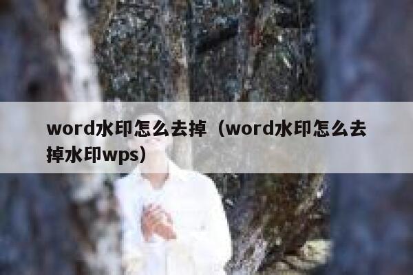 word水印怎么去掉（word水印怎么去掉水印wps）