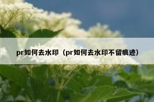 pr如何去水印（pr如何去水印不留痕迹）