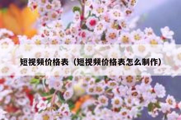 短视频价格表（短视频价格表怎么制作）