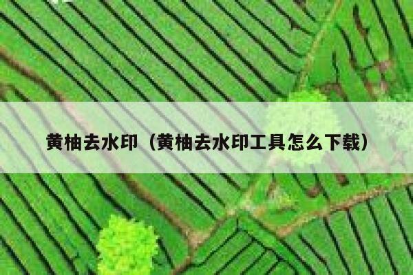 黄柚去水印（黄柚去水印工具怎么下载）