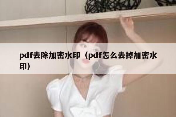 pdf去除加密水印（pdf怎么去掉加密水印）