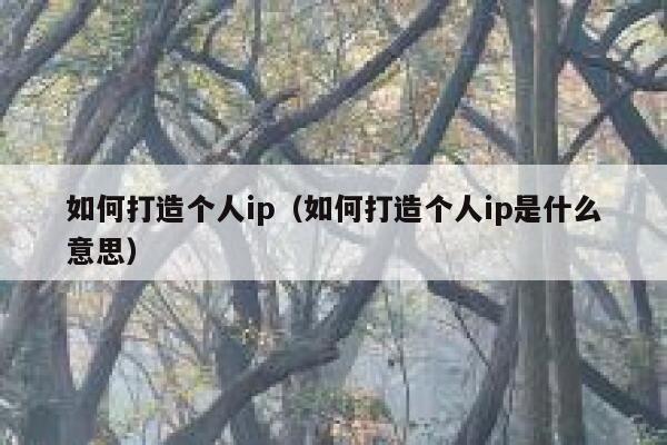 如何打造个人ip（如何打造个人ip是什么意思）