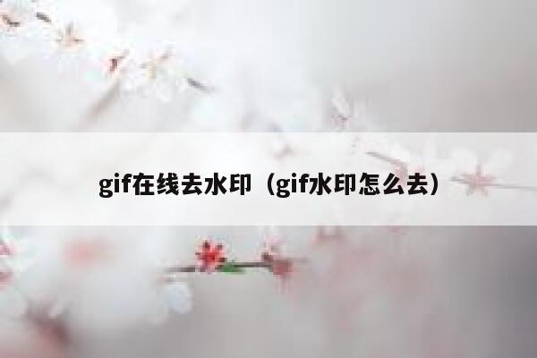 gif在线去水印（gif水印怎么去）