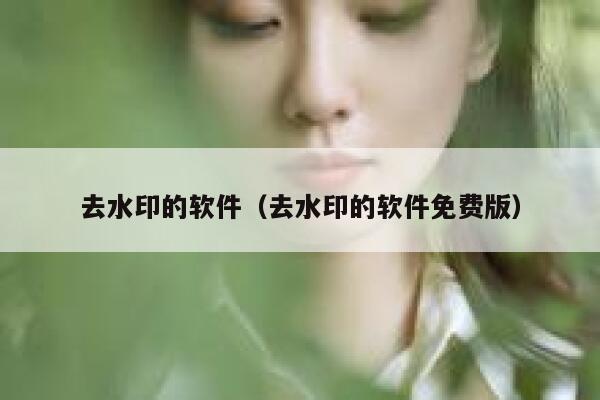 去水印的软件（去水印的软件免费版）