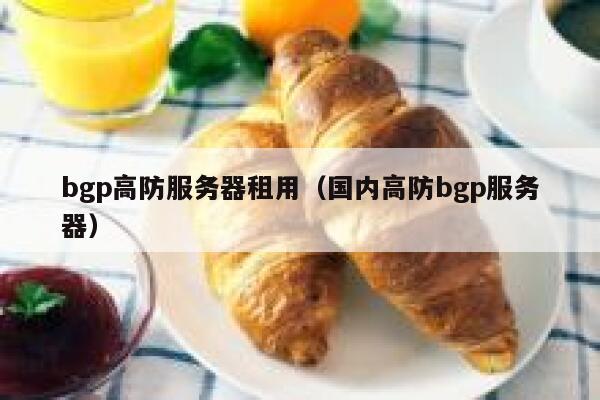 bgp高防服务器租用（国内高防bgp服务器）