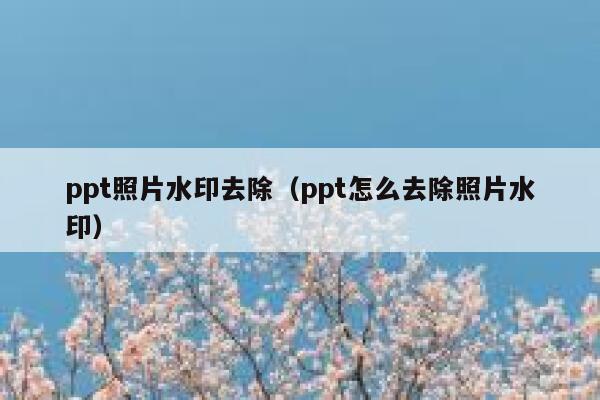 ppt照片水印去除（ppt怎么去除照片水印）