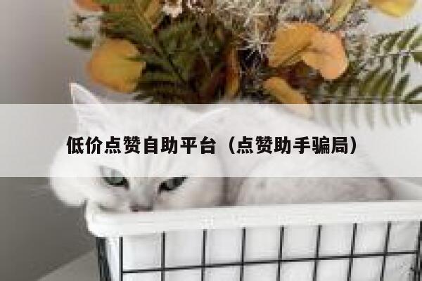 低价点赞自助平台（点赞助手骗局）