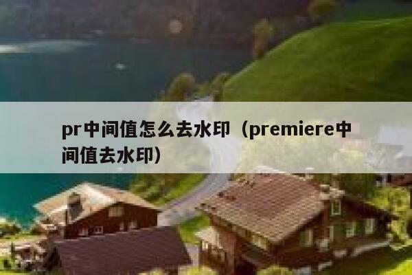 pr中间值怎么去水印（premiere中间值去水印）