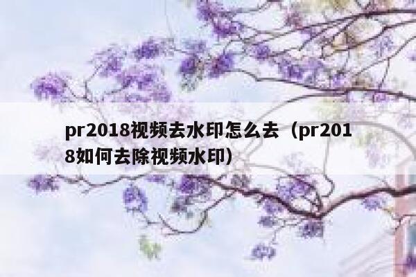 pr2018视频去水印怎么去（pr2018如何去除视频水印）