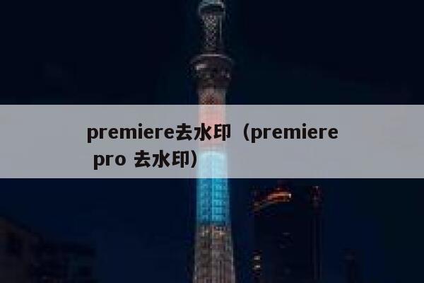 premiere去水印（premiere pro 去水印）