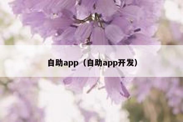 自助app（自助app开发）