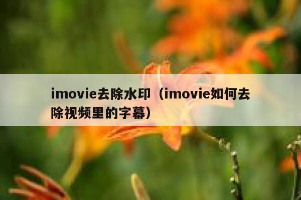 imovie去除水印（imovie如何去除视频里的字幕）