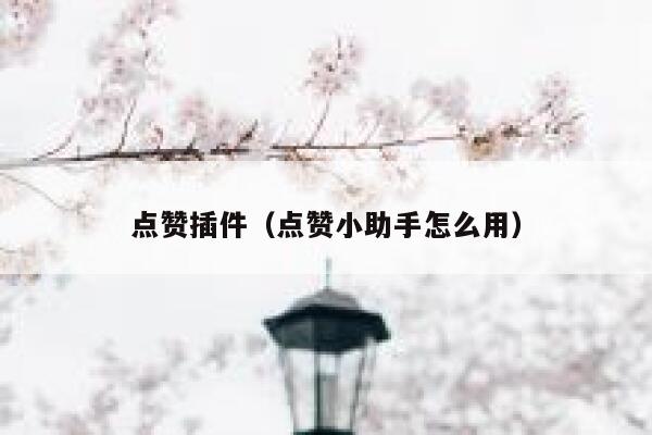 点赞插件（点赞小助手怎么用）