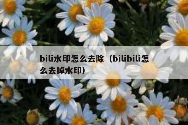 bili水印怎么去除（bilibili怎么去掉水印）