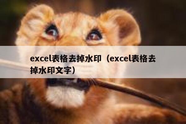 excel表格去掉水印（excel表格去掉水印文字）