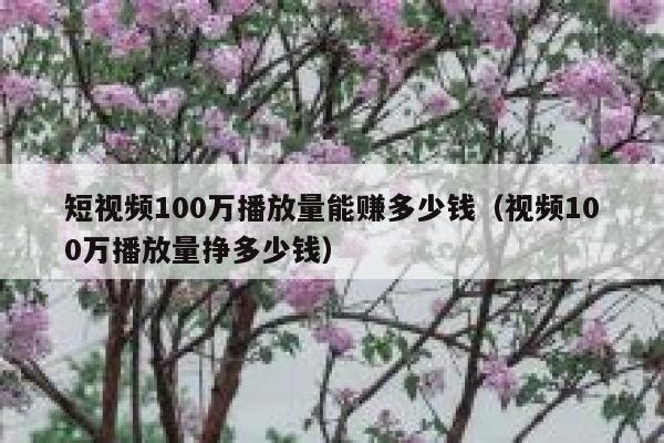 短视频100万播放量能赚多少钱（视频100万播放量挣多少钱）