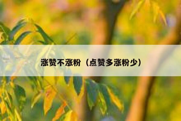 涨赞不涨粉（点赞多涨粉少）