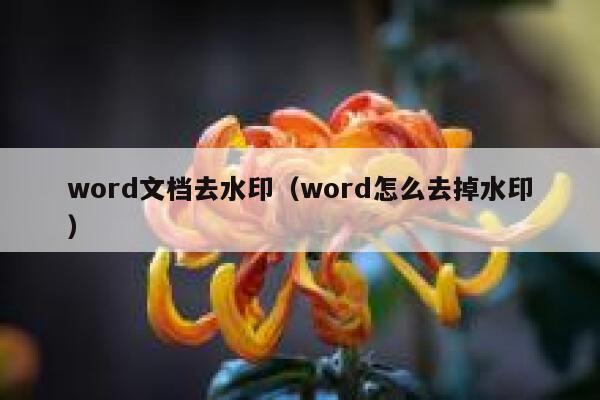 word文档去水印（word怎么去掉水印）