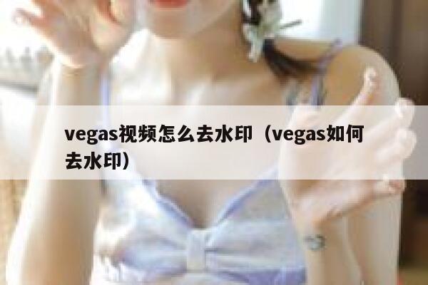 vegas视频怎么去水印（vegas如何去水印）